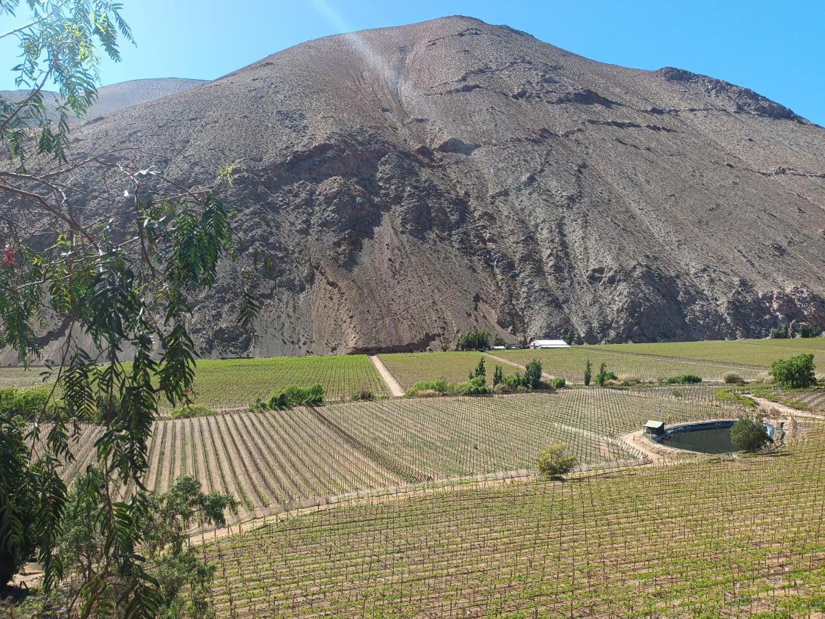 Ladera Loft Pisco Elquiヴィラ エクステリア 写真
